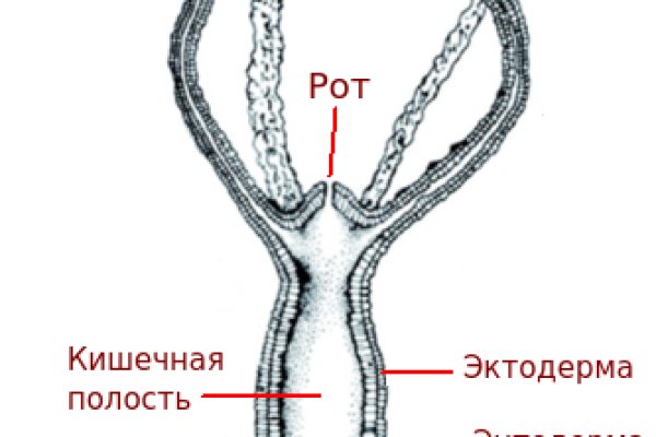 Блэкспрут