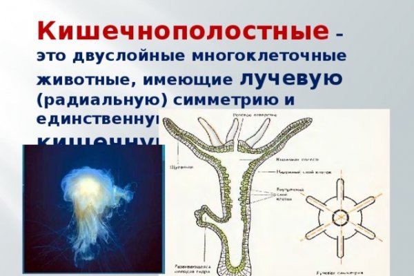 Логин пароль blacksprut blacksprute com